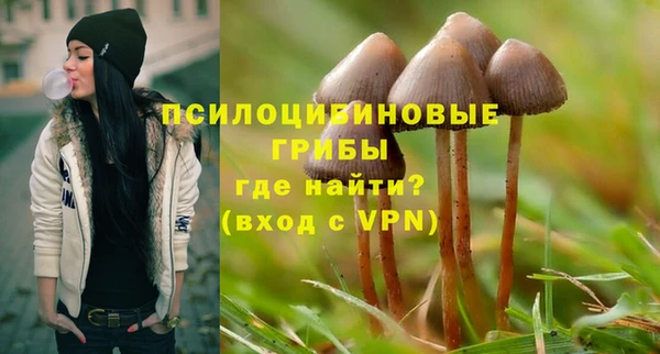 метадон Аркадак