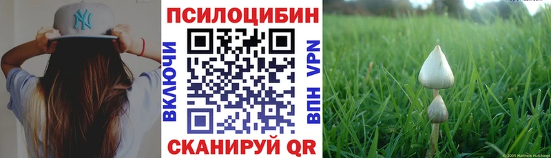 даркнет клад  где найти   Истра  Псилоцибиновые грибы ЛСД 